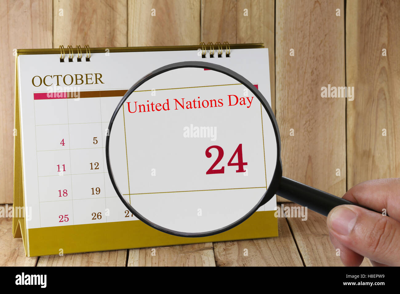 Magnifying glass in hand on calendar you can look United Nations Day of ...