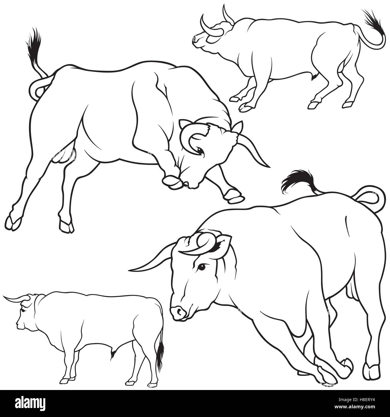 Bull Collection Stock Vector