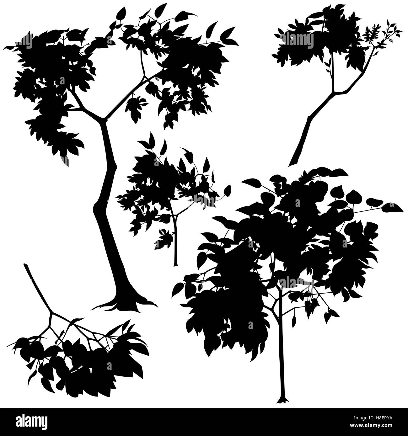 Tree silhouette silhouettes Black and White Stock Photos & Images - Alamy