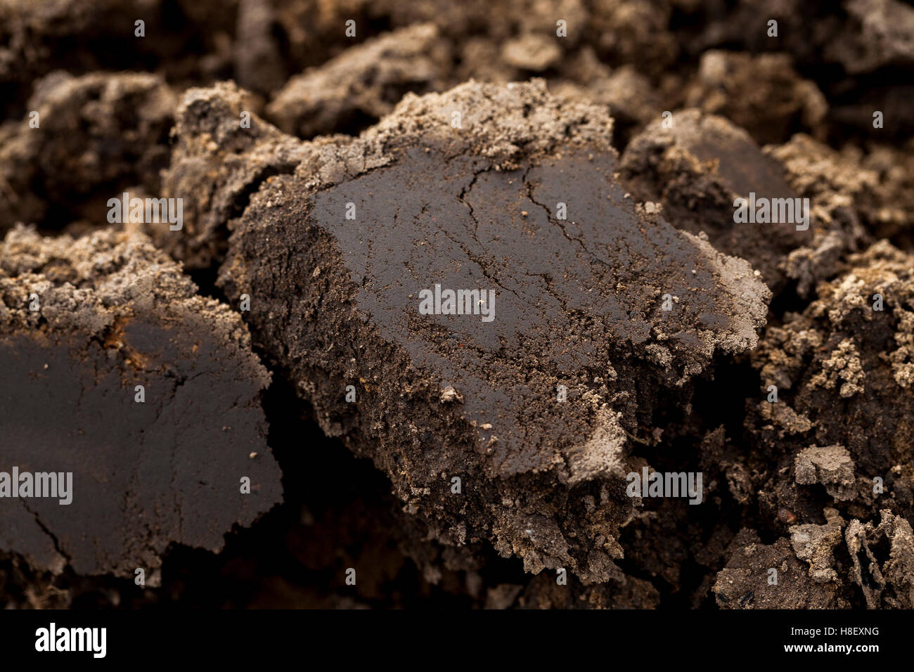 plowed land, close-up Stock Photo