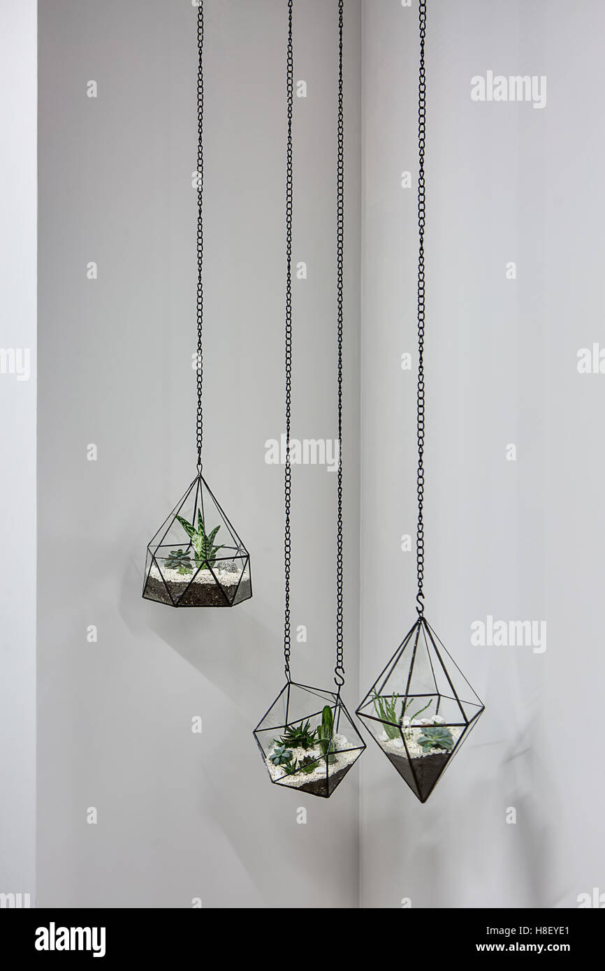 Hanging vases with plants Stock Photo Alamy