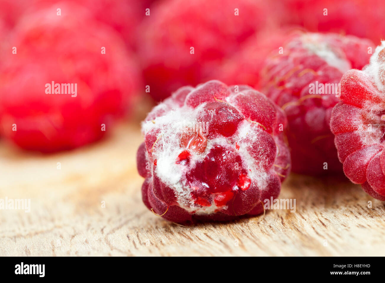 mold on the raspberries Stock Photo