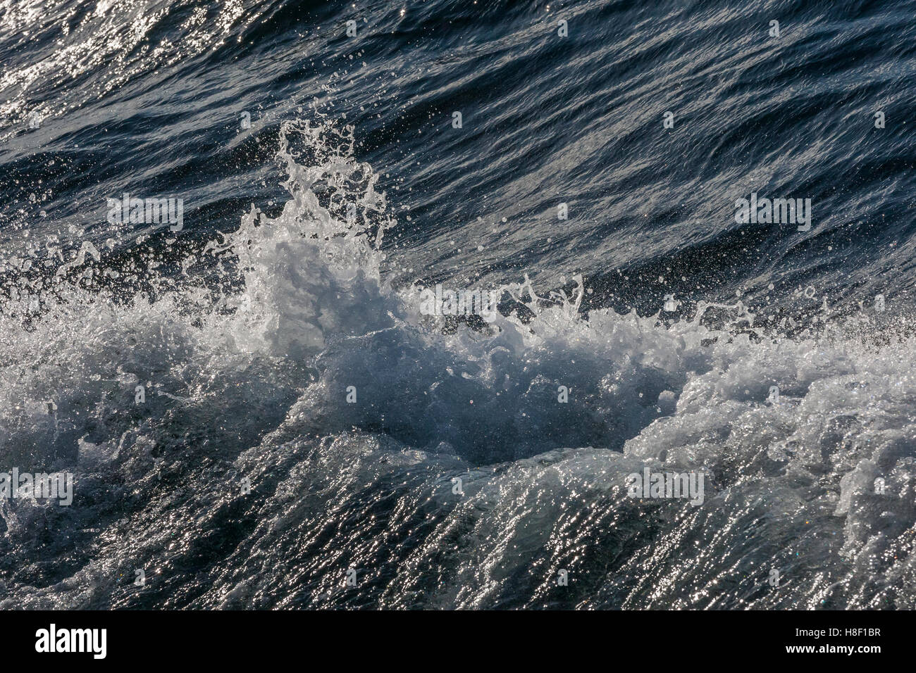 Minke whale watching tourist boat hi-res stock photography and images ...