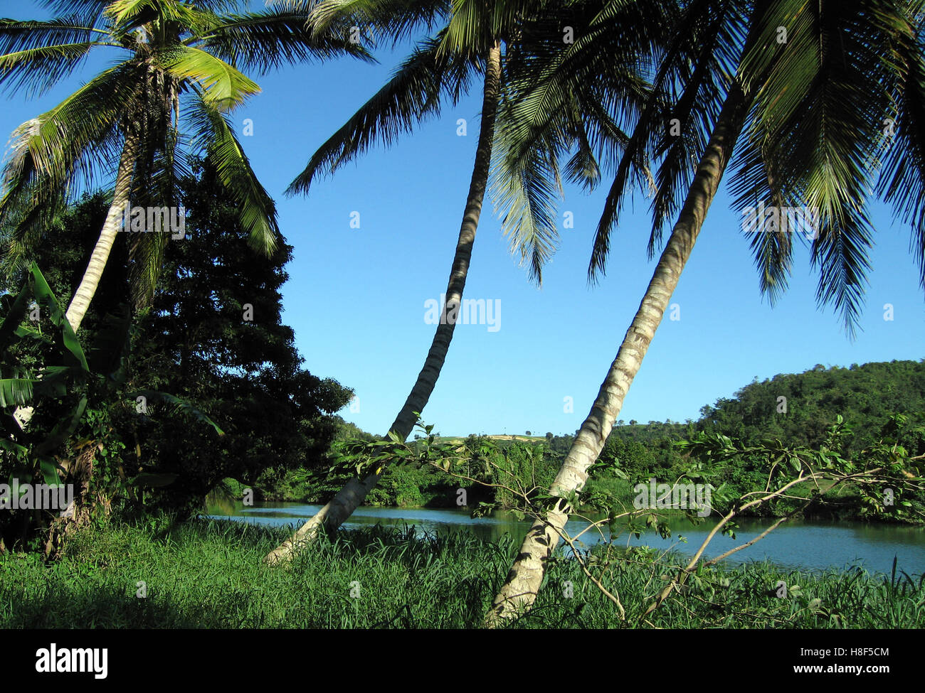  Foto zu Dominican Republic landscape Stock Photo - Alamy 
