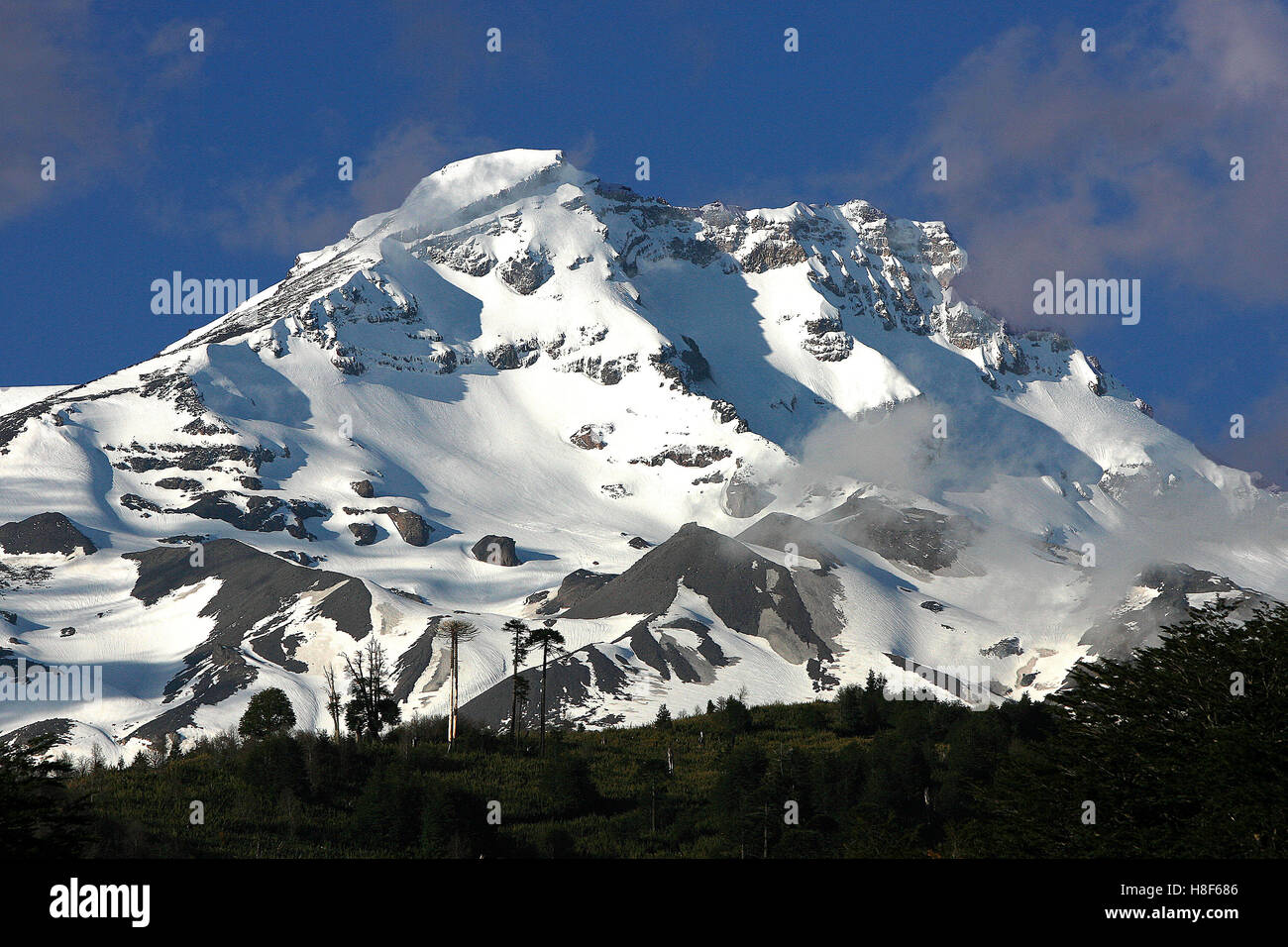 View to the Lonquimay volcano in the south of Chile Stock Photo