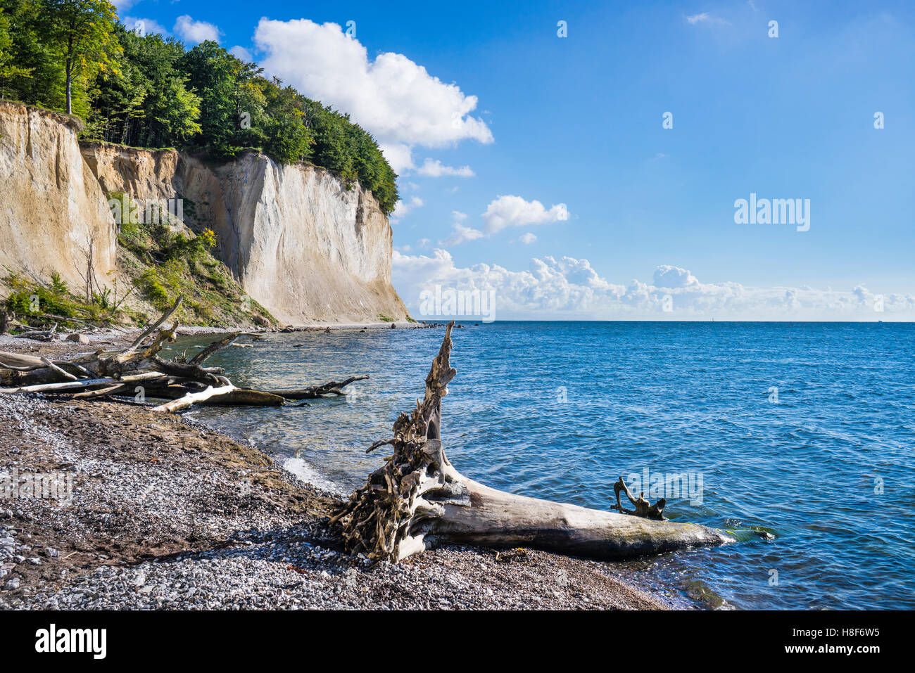 German Cliffs chalk cliffs at Jasmund National Park, near Königsstuhl (King's Chair ...