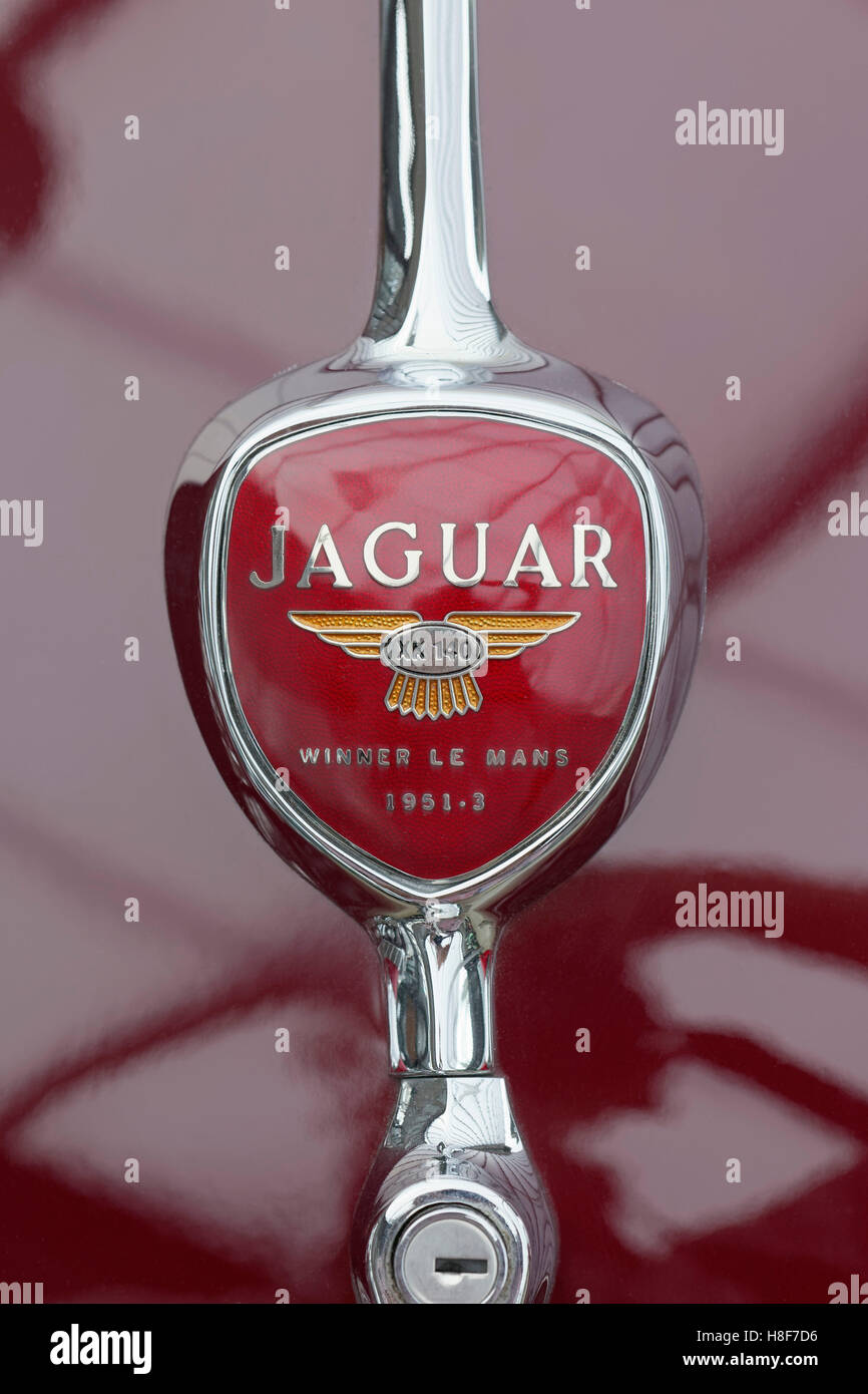 Jaguar Car Logo High Resolution Stock Photography and Images Alamy