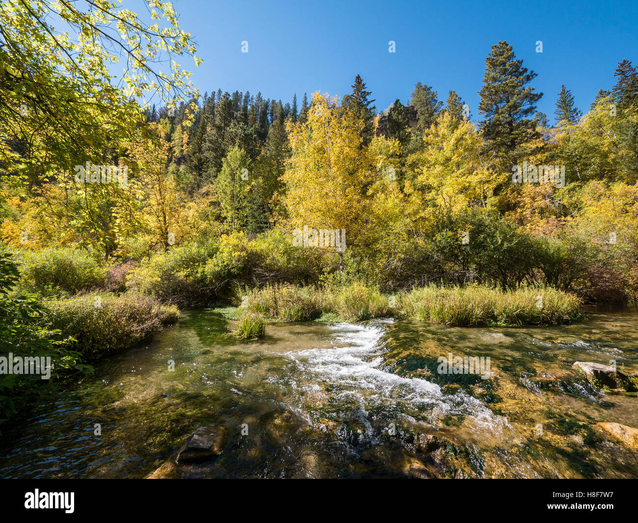 Spearfish Creek above Roughlock Falls, Spearfish Canyon Scenic Byway