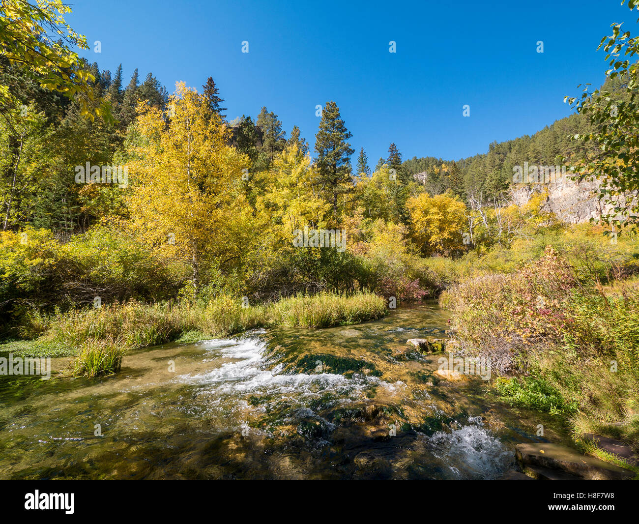 Spearfish Creek above Roughlock Falls, Spearfish Canyon Scenic Byway