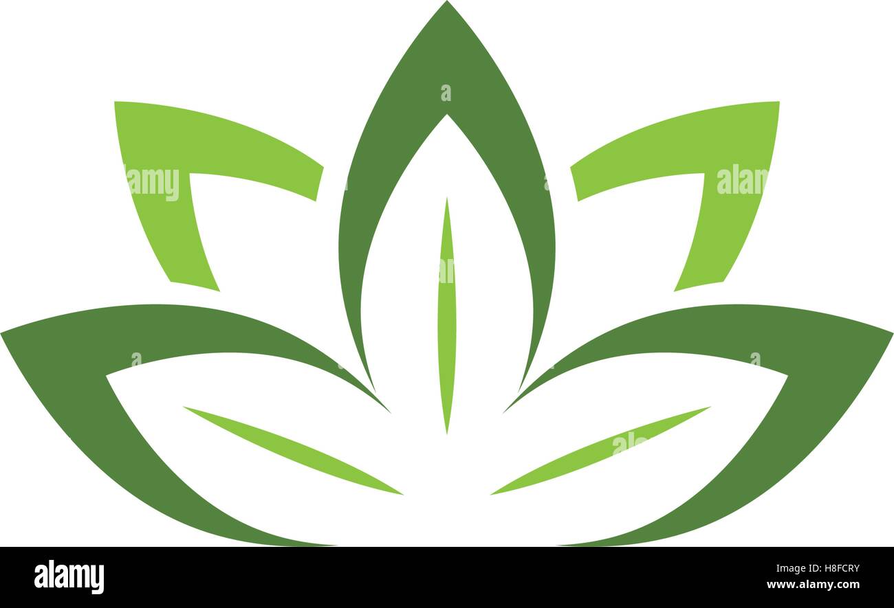 Stylized lotus flower icon vector background Stock Vector Image & Art