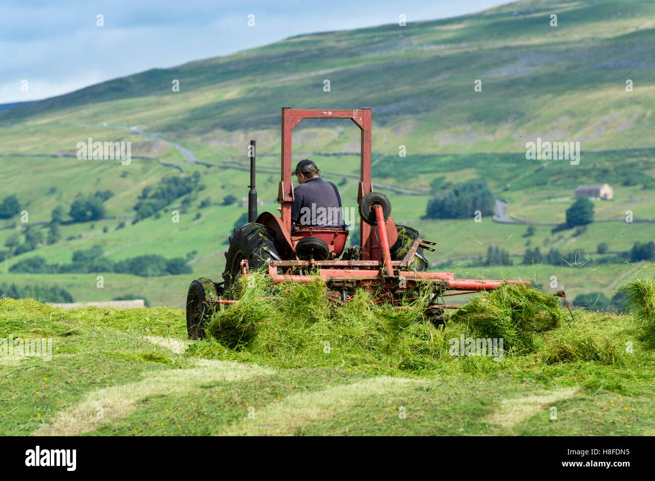 Farmer in Wensleydale turning grass to make hay with a vintage Massey