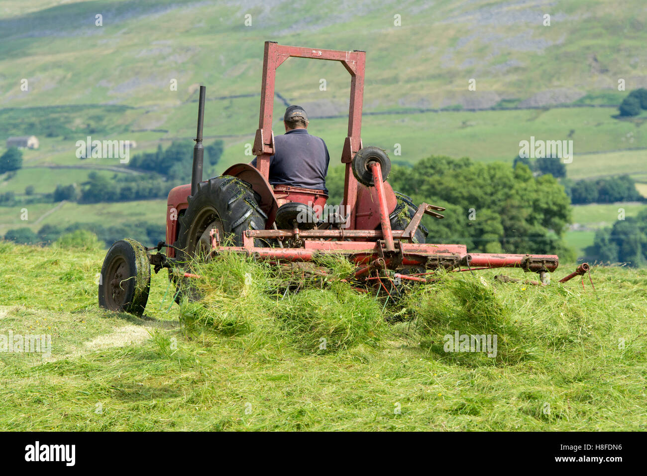 Farmer in Wensleydale turning grass to make hay with a vintage Massey Ferguson tractor. Hawes, North Yorkshire, UK. Stock Photo