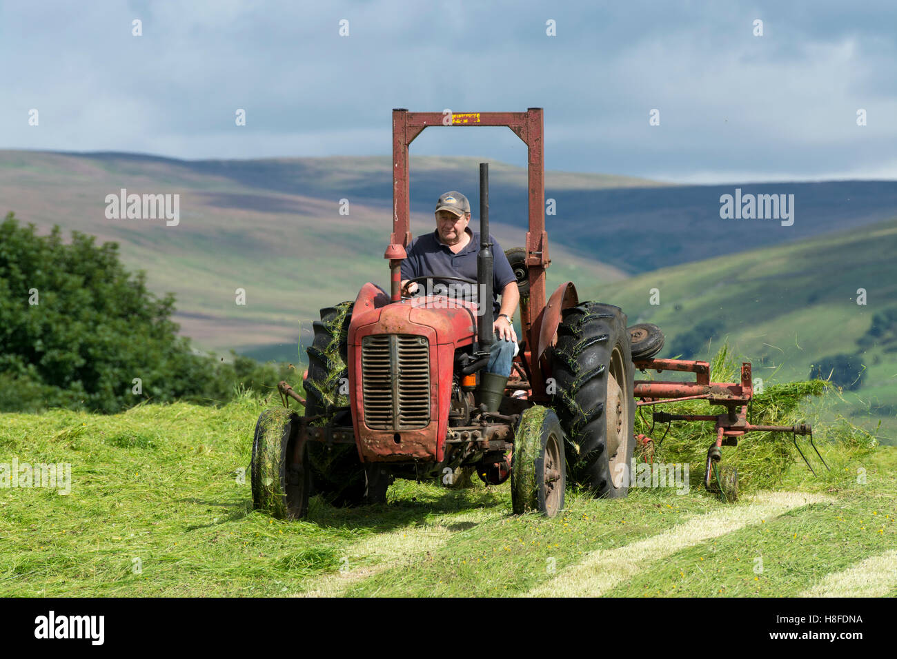 Farmer in Wensleydale turning grass to make hay with a vintage Massey