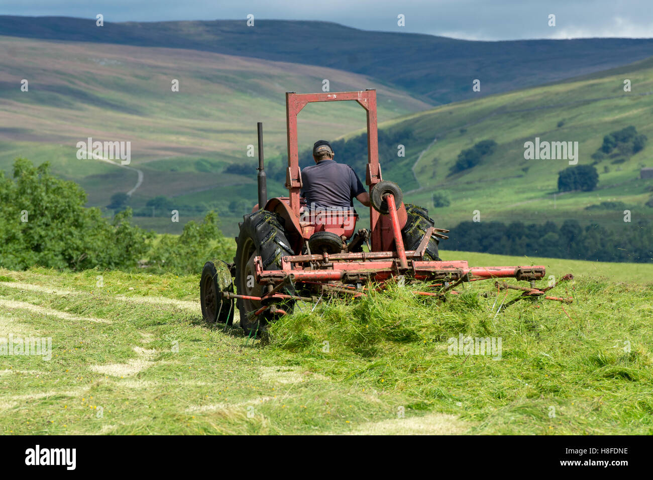 Farmer in Wensleydale turning grass to make hay with a vintage Massey