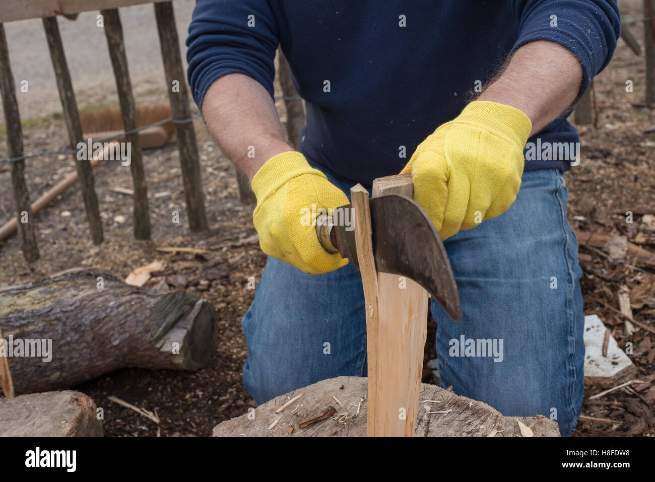 Gloved hand trimming a piece of firewood using a billhook machete Stock Photo