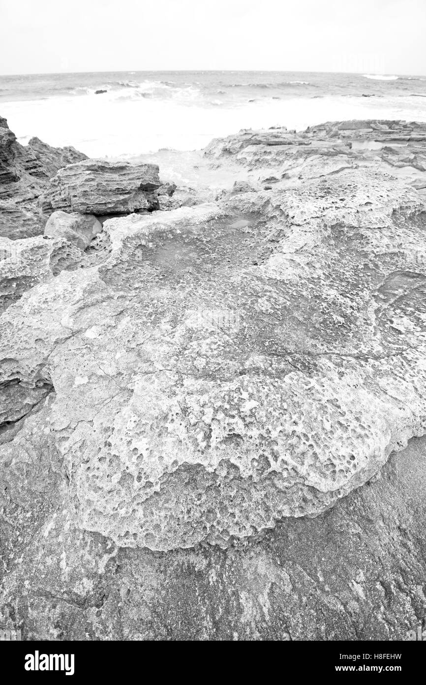 blur in south africa   sky ocean  isimagaliso reserve nature and rocks Stock Photo