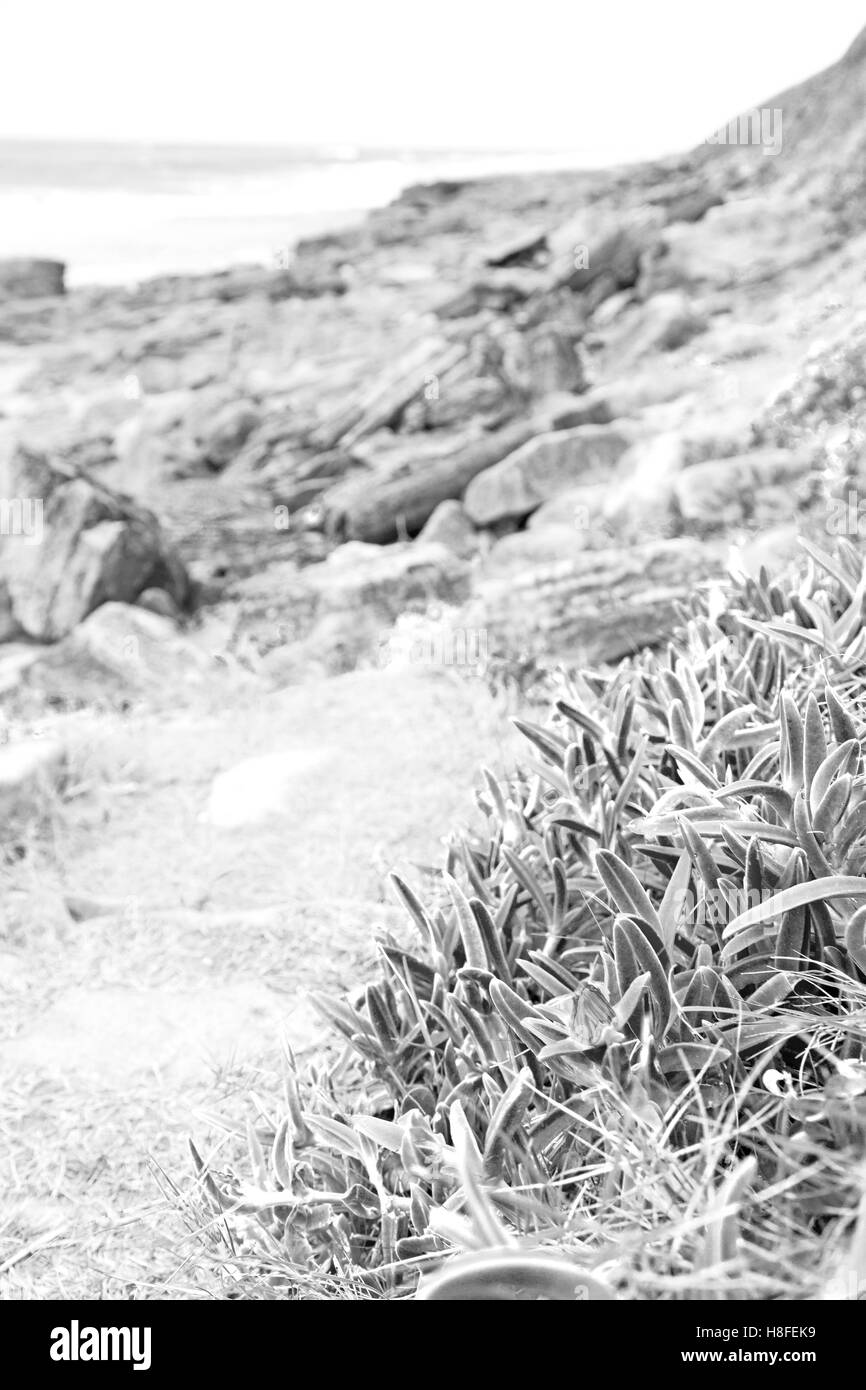 blur in south africa   sky ocean  isimagaliso reserve nature and rocks Stock Photo