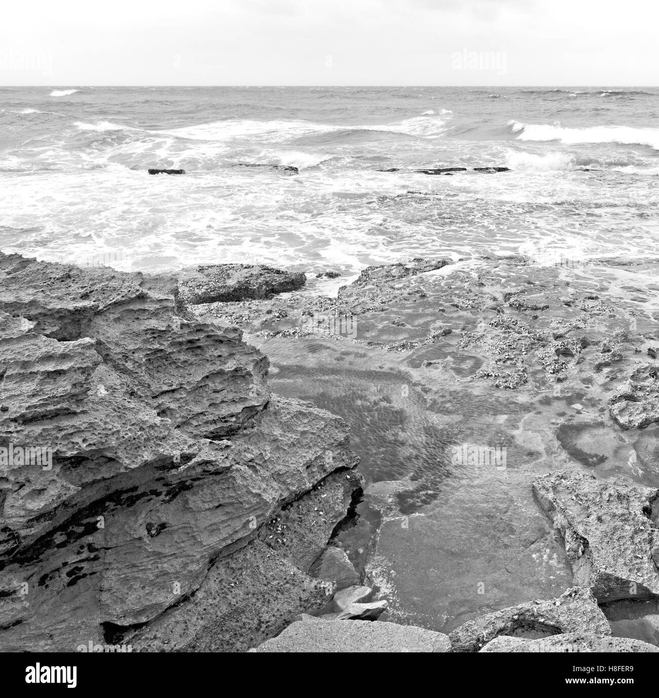 blur in south africa   sky ocean  isimagaliso reserve nature and rocks Stock Photo