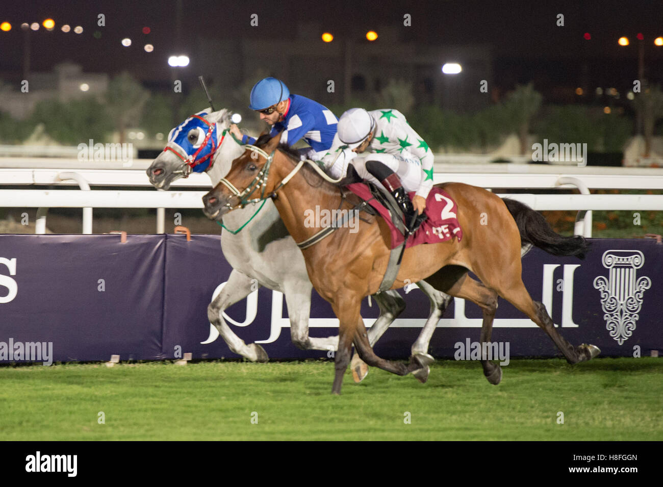DOHA, QATAR - November 3rd 2016 Qatar Racing and Equestrian Club. Alberto Sanna riding Mowhoubat Al Zaidy after winning race 6 o Stock Photo