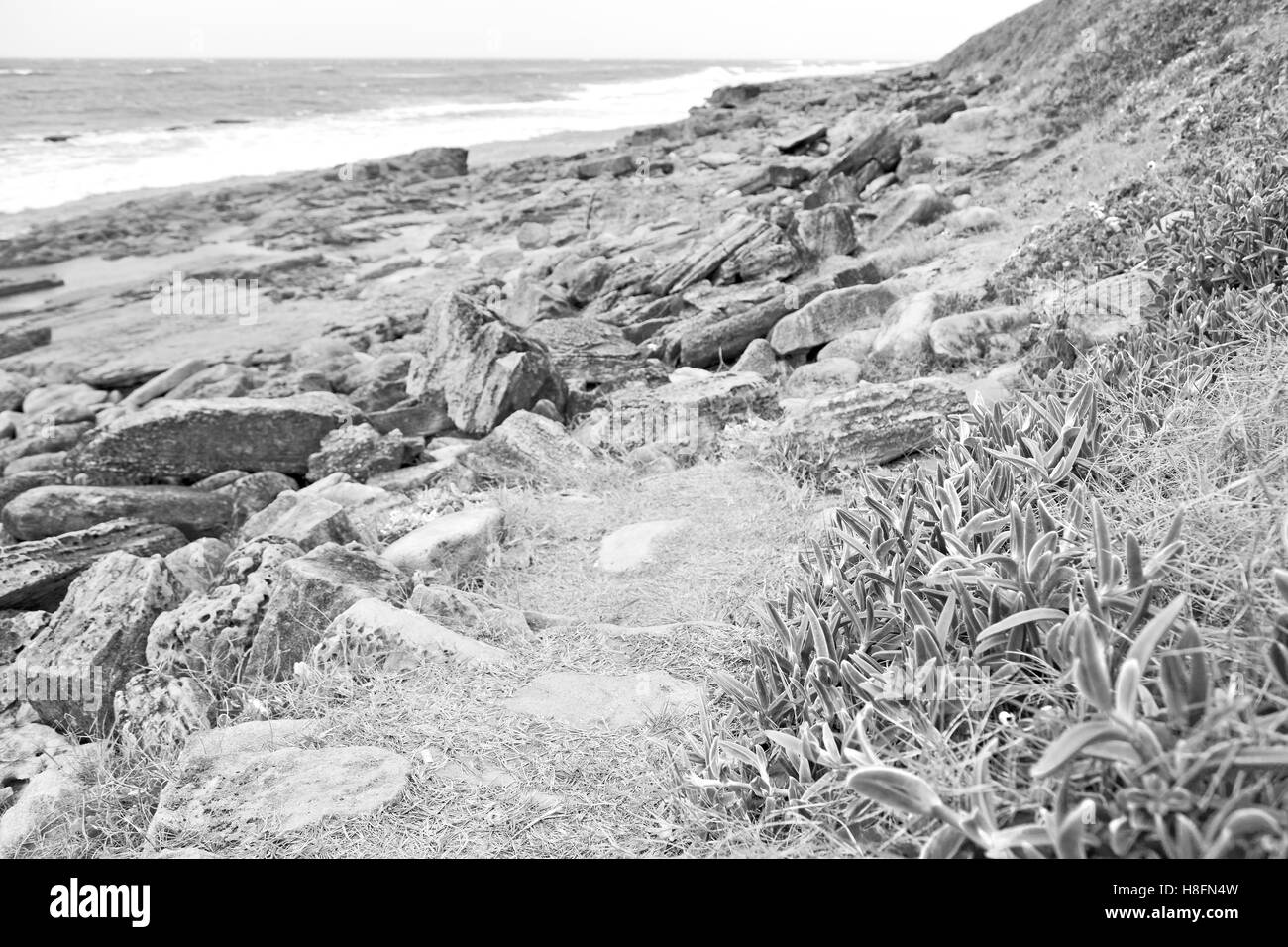 blur in south africa   sky ocean  isimagaliso reserve nature and rocks Stock Photo