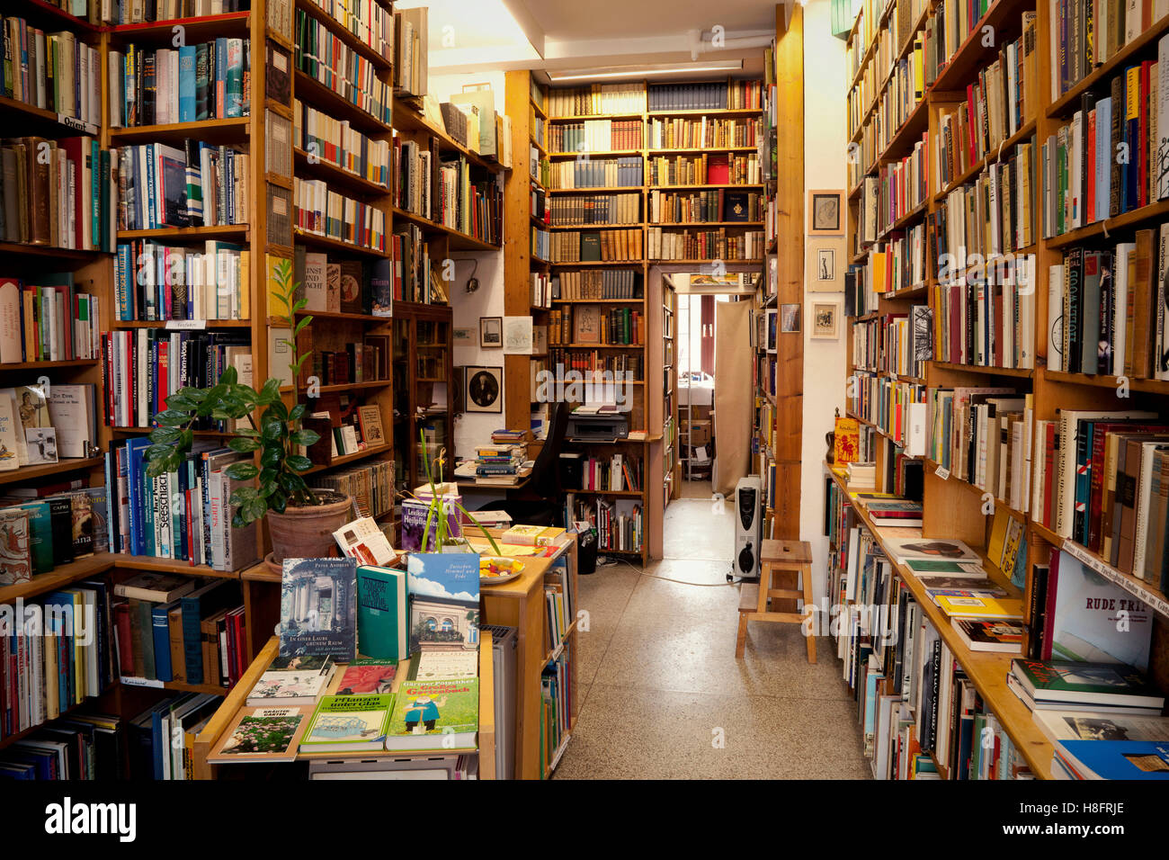 antiquarian bookshop, business, books, sales Stock Photo