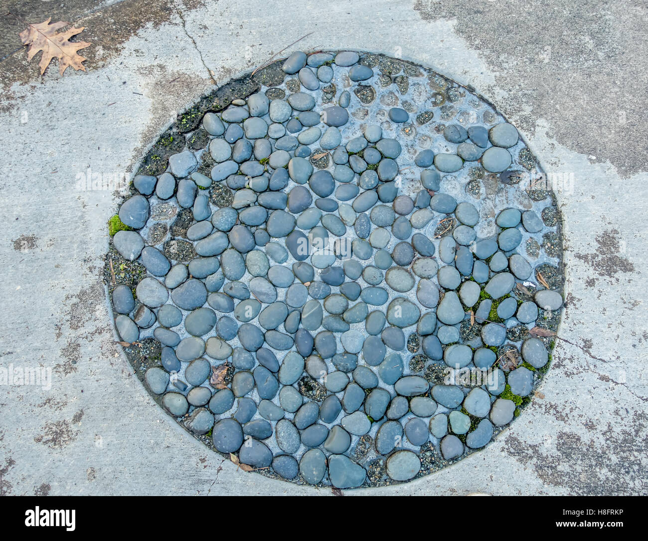 Patio pebbles hi-res stock photography and images - Alamy