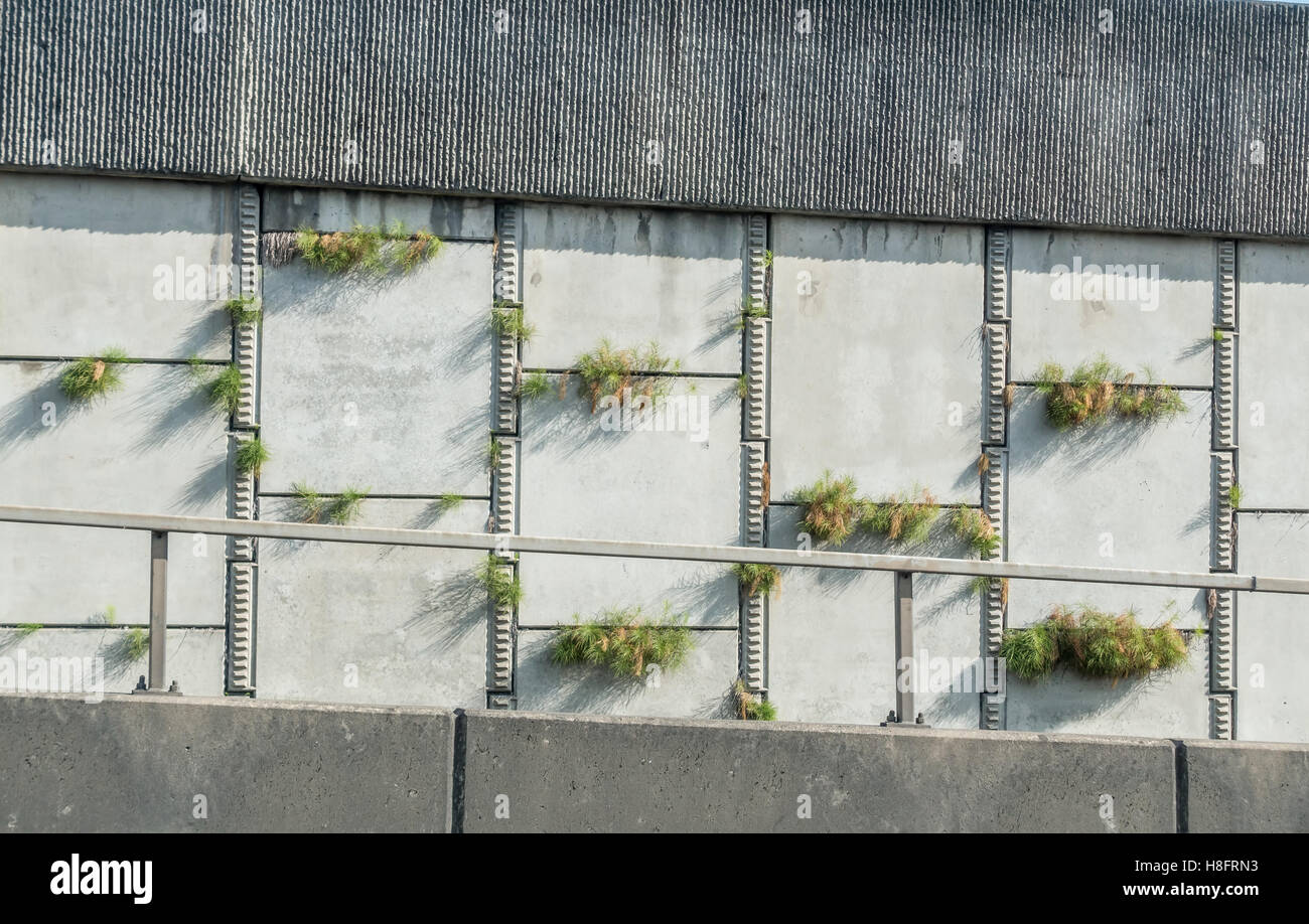 Closeup shot of the side of a freeway with plants growing between sections. Stock Photo