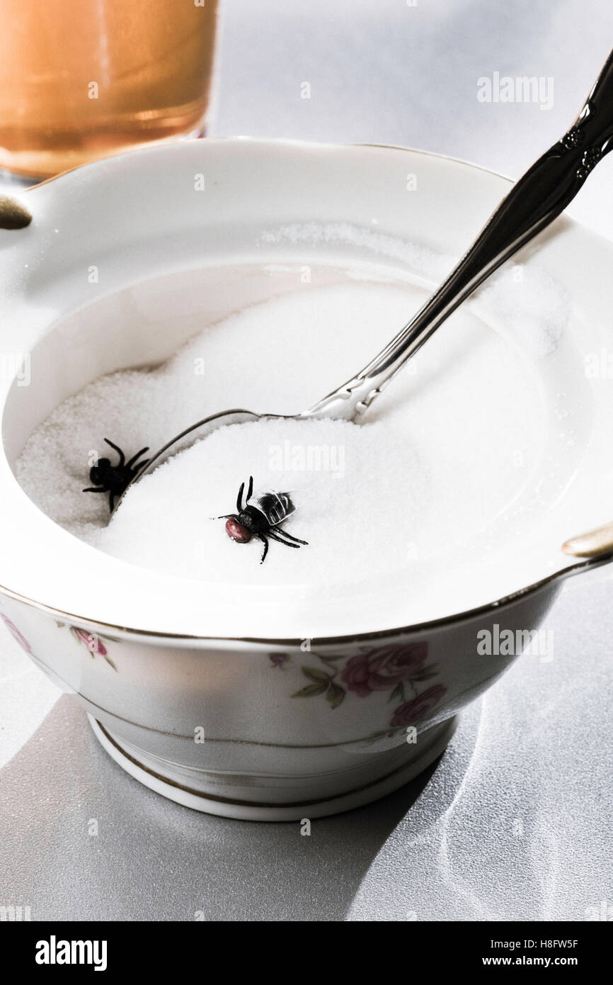 Sugar Bowl Infested with Houseflies, USA Stock Photo