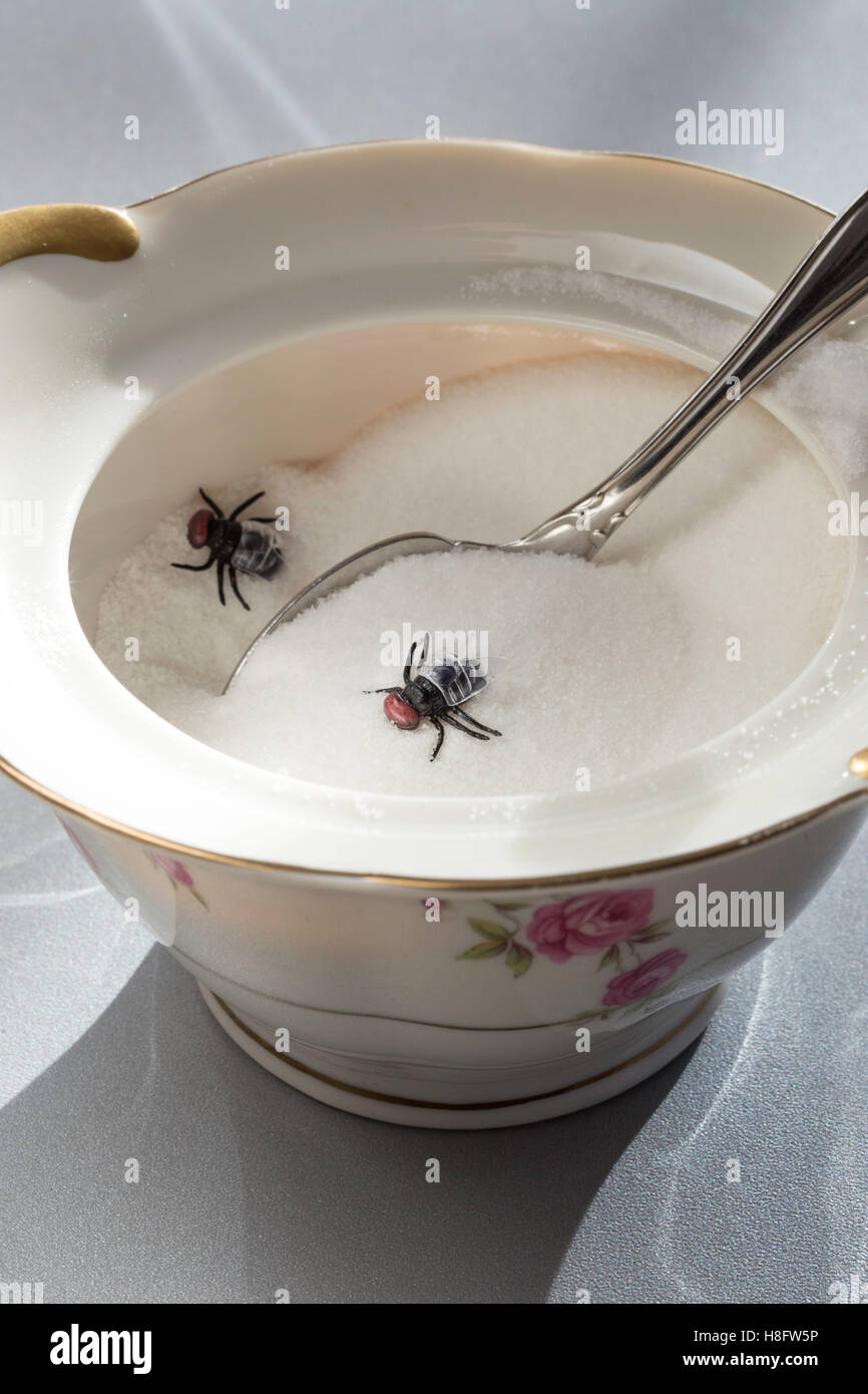 Sugar Bowl Infested with Houseflies, USA Stock Photo