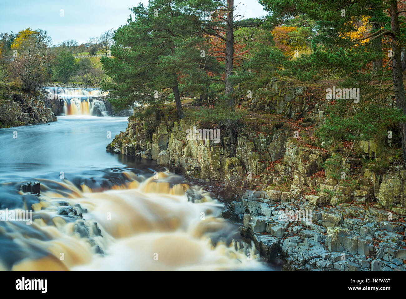 Low Force waterfall in Upper Teesdale, Stock Photo