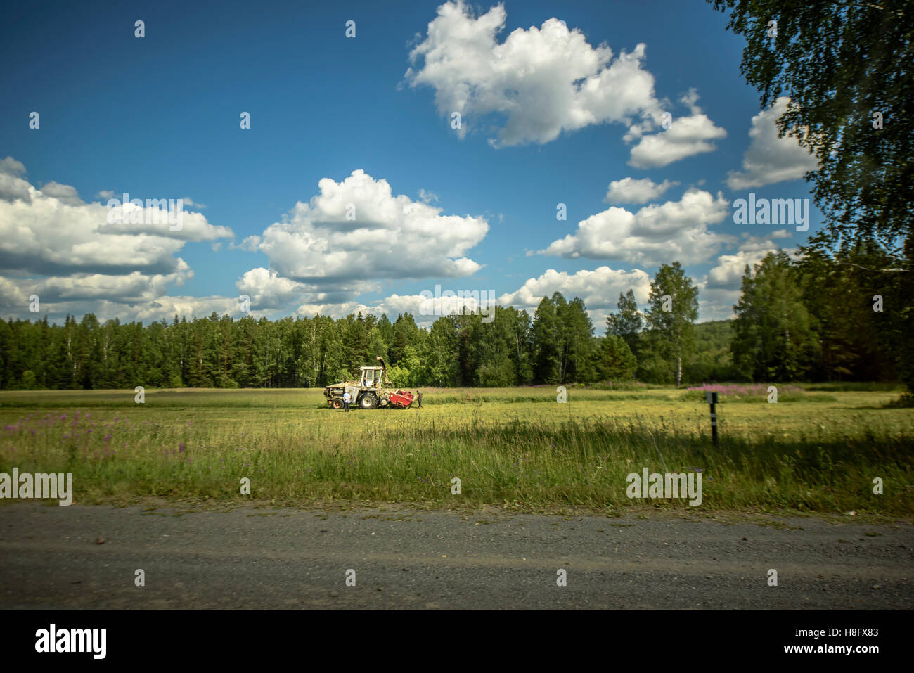 Tractor in a field Stock Photo