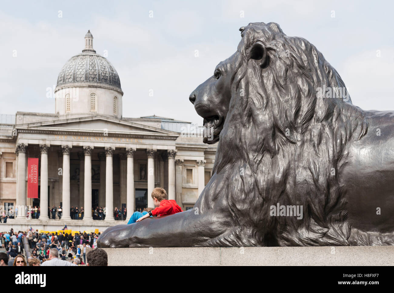 England, London, Trafalgar Square, Nelson's Column, at the bottom of the collumn are four lion's sculptures from Sir Edwin Landseer Stock Photo