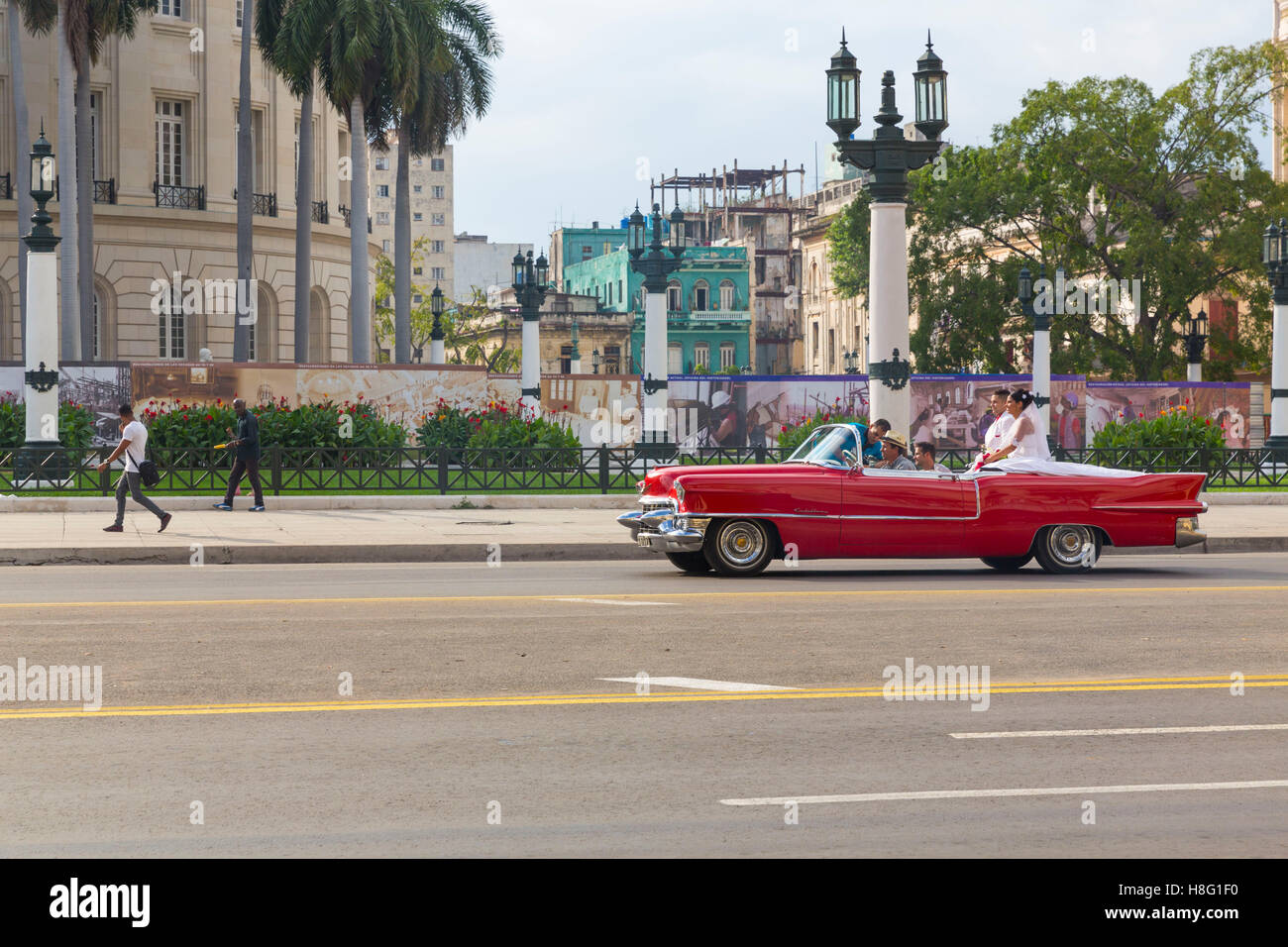 Wedding, classic car on the streets of Havana, Havana, La Habana, Cuba, the Republic of Cuba the Greater Antilles, the Caribbean Stock Photo