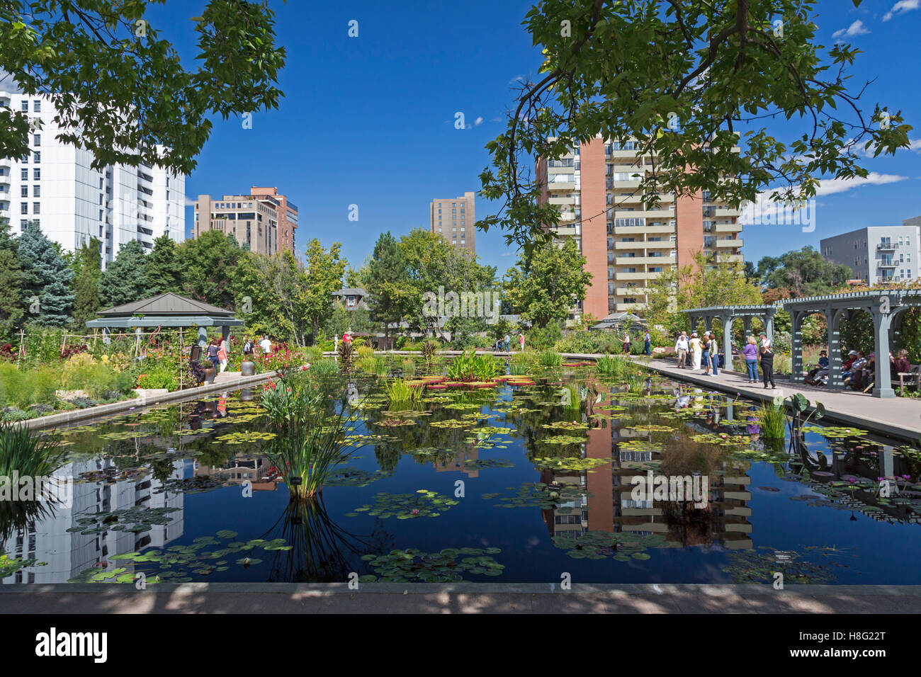 Denver, Colorado - The Monet Pool in Denver Botanic Gardens. Stock Photo