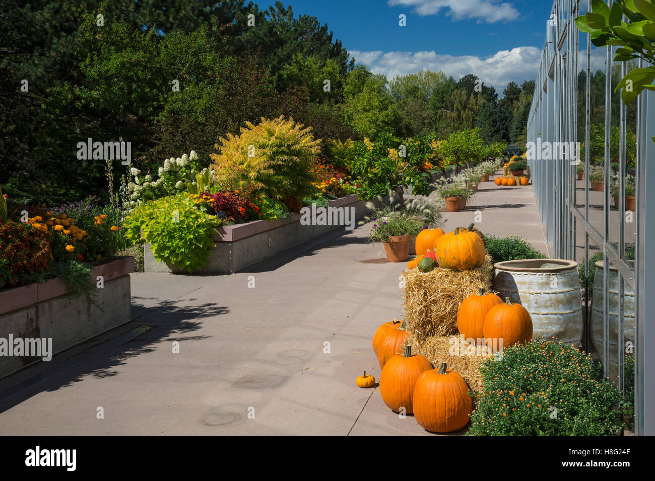 Denver Colorado Denver Botanic Gardens Stock Photo 125742751