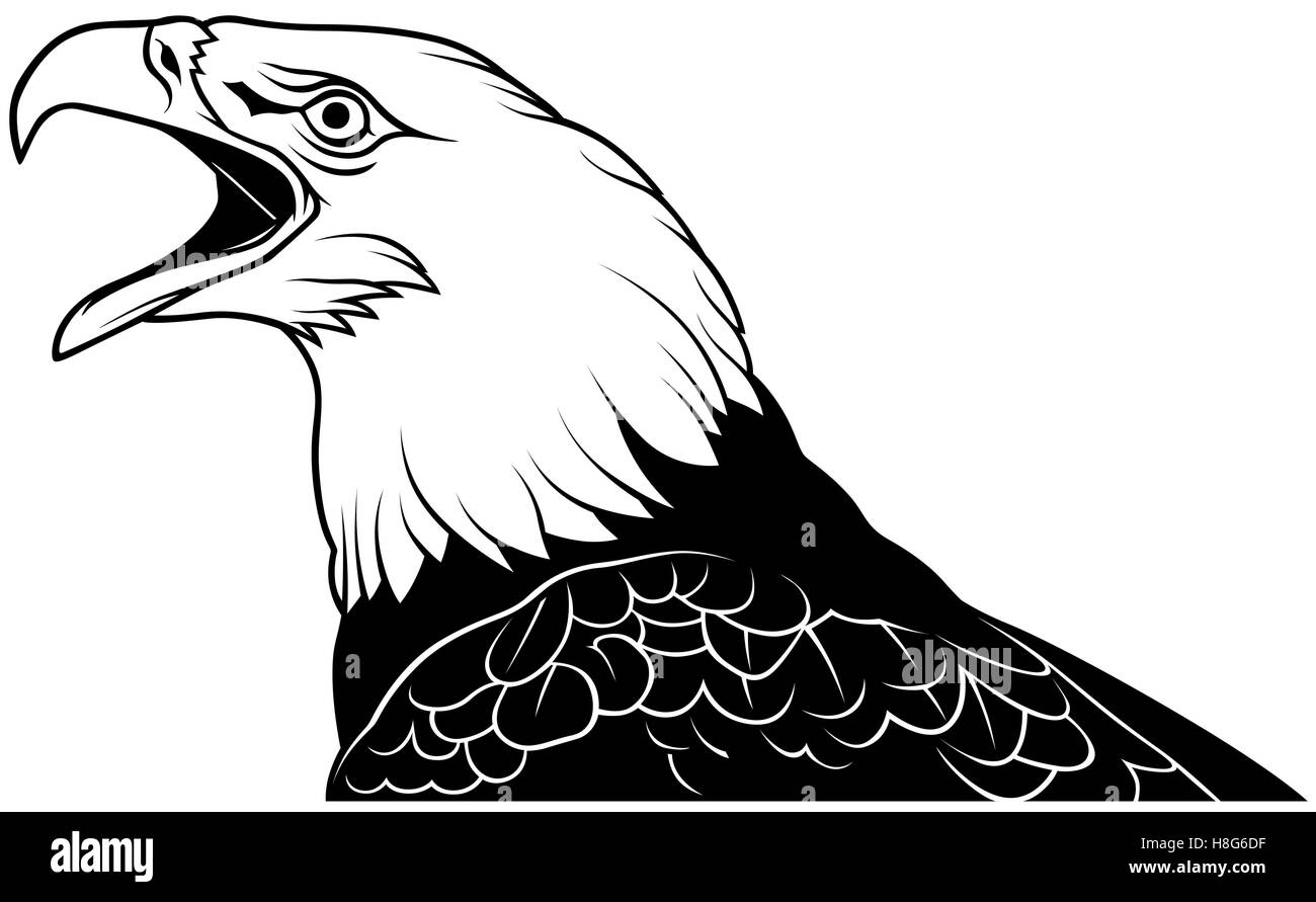 Bald Eagle Head Stock Vector Image & Art - Alamy