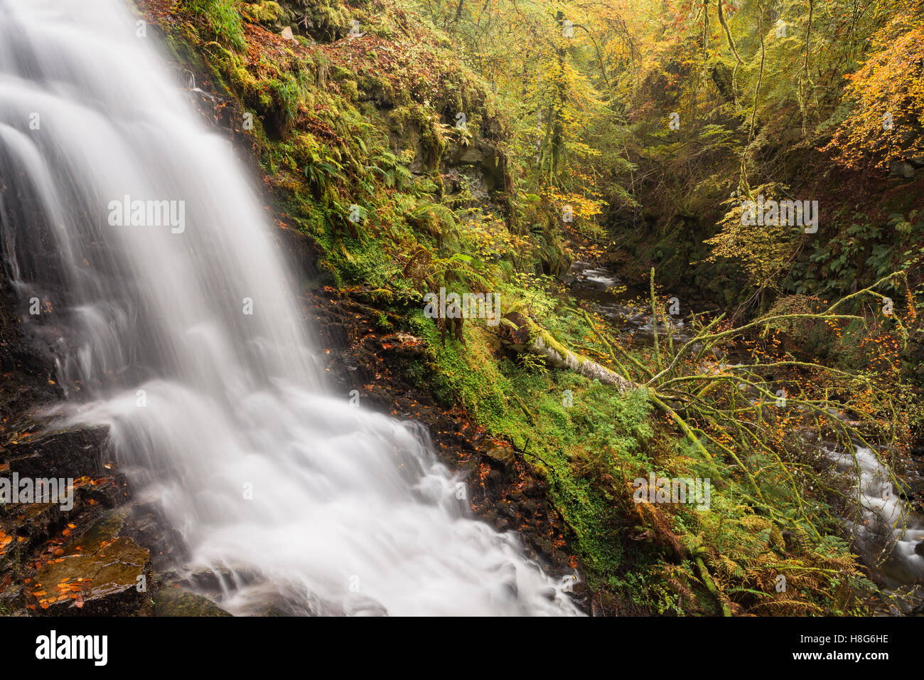 A Waterfall runs down rocks at The Birks of Aberfeldy along the Moness Burn in Perthshire, Scotland in Autumn. Stock Photo