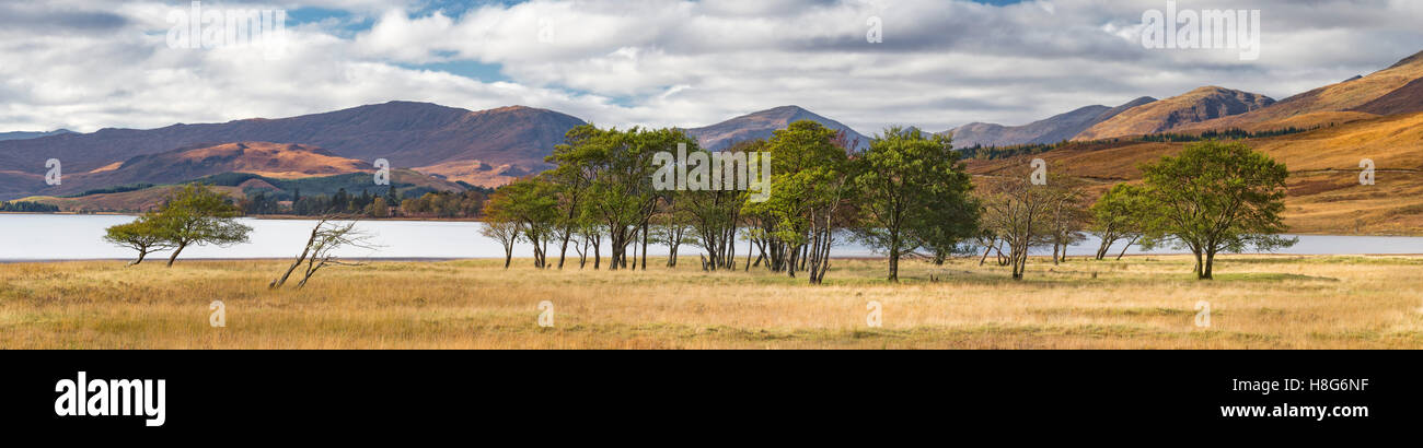Trees stand on the shore of Loch Tulla, Glen coe, Scotland, while the mountains in the distance are lit by dappled sunlight. Stock Photo