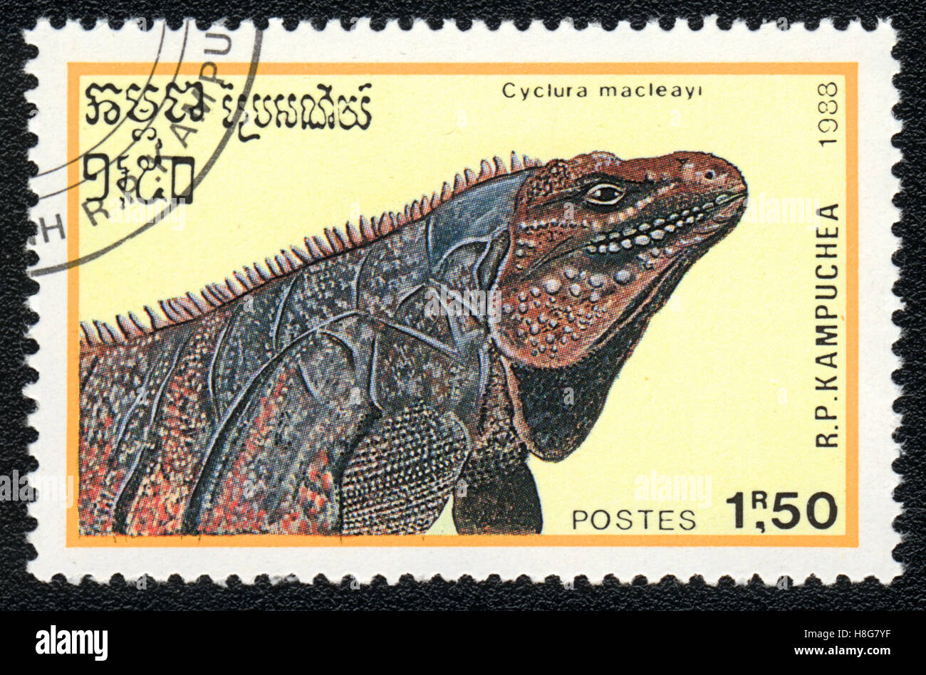 A postage stamp printed in Kampuchea shows rare blue giant iguana - Cyclura macleayi, circa 1988 Stock Photo