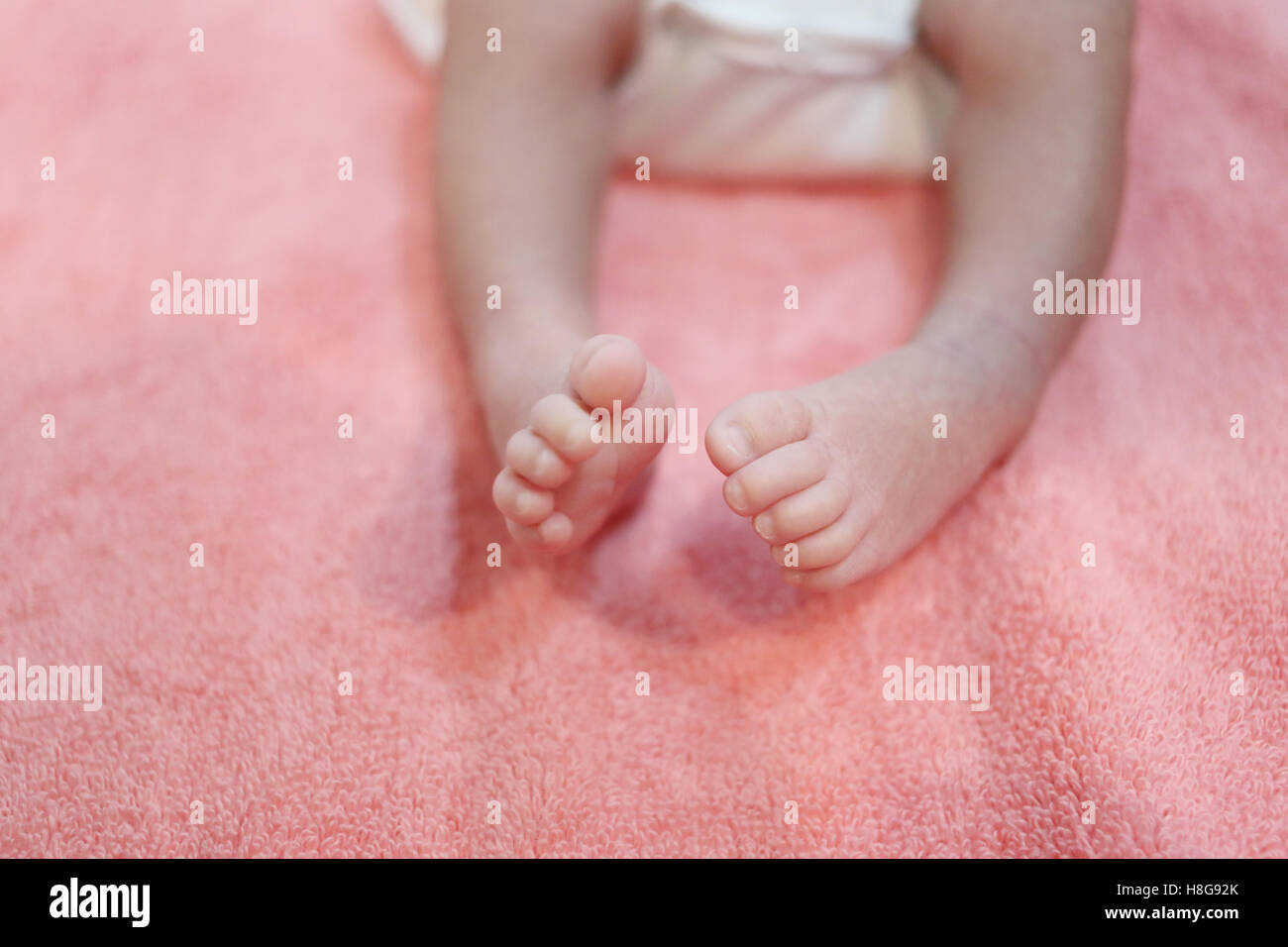 Foot of a baby on a bed of pink. Stock Photo