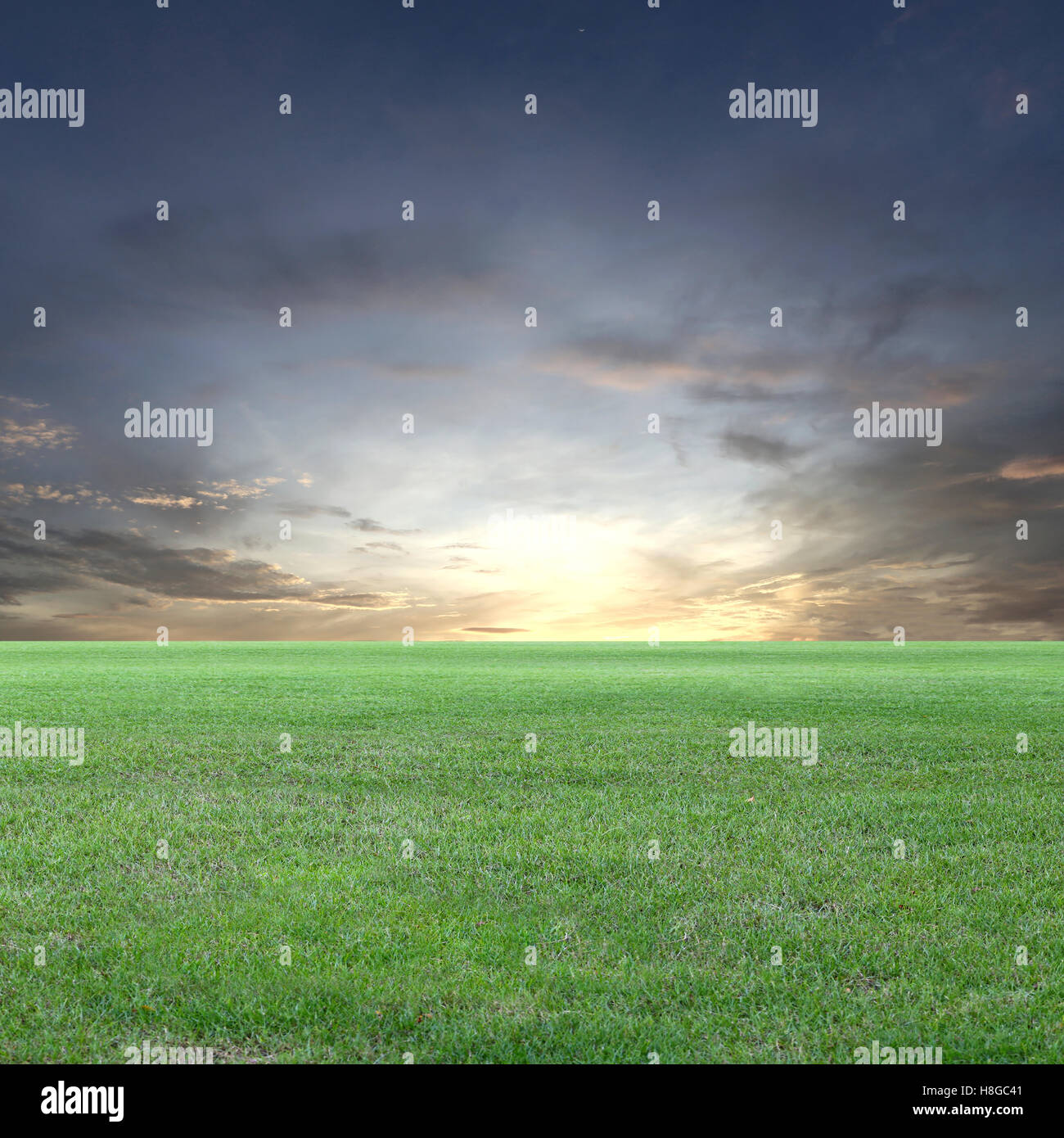 Green Field and sunset sky view,Green lawn for the design nature background. Stock Photo
