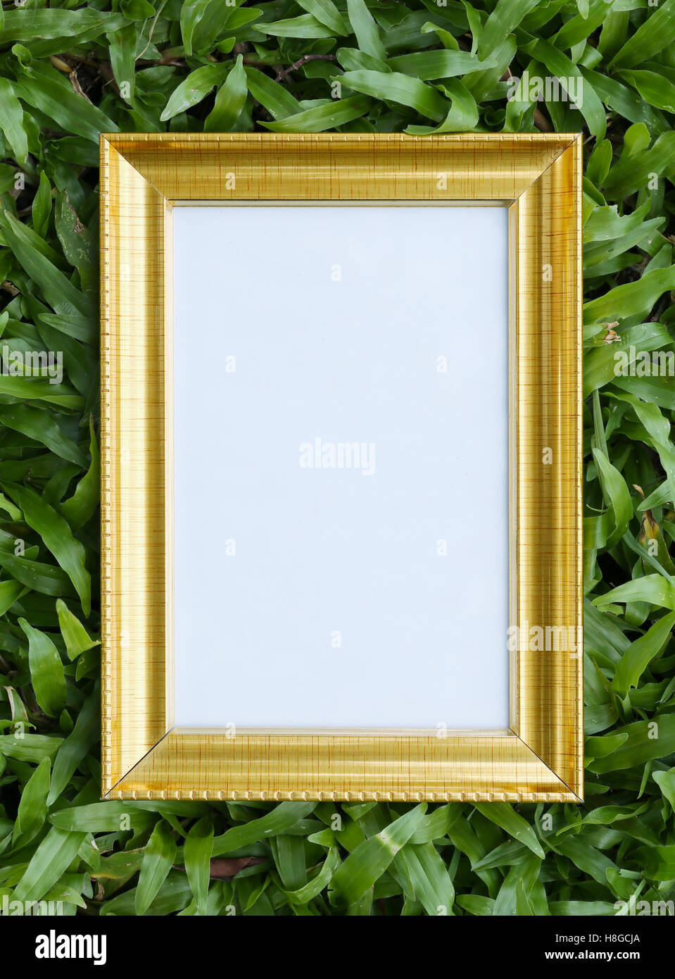 Gold picture frame on green lawn in top view for the design nature background. Stock Photo