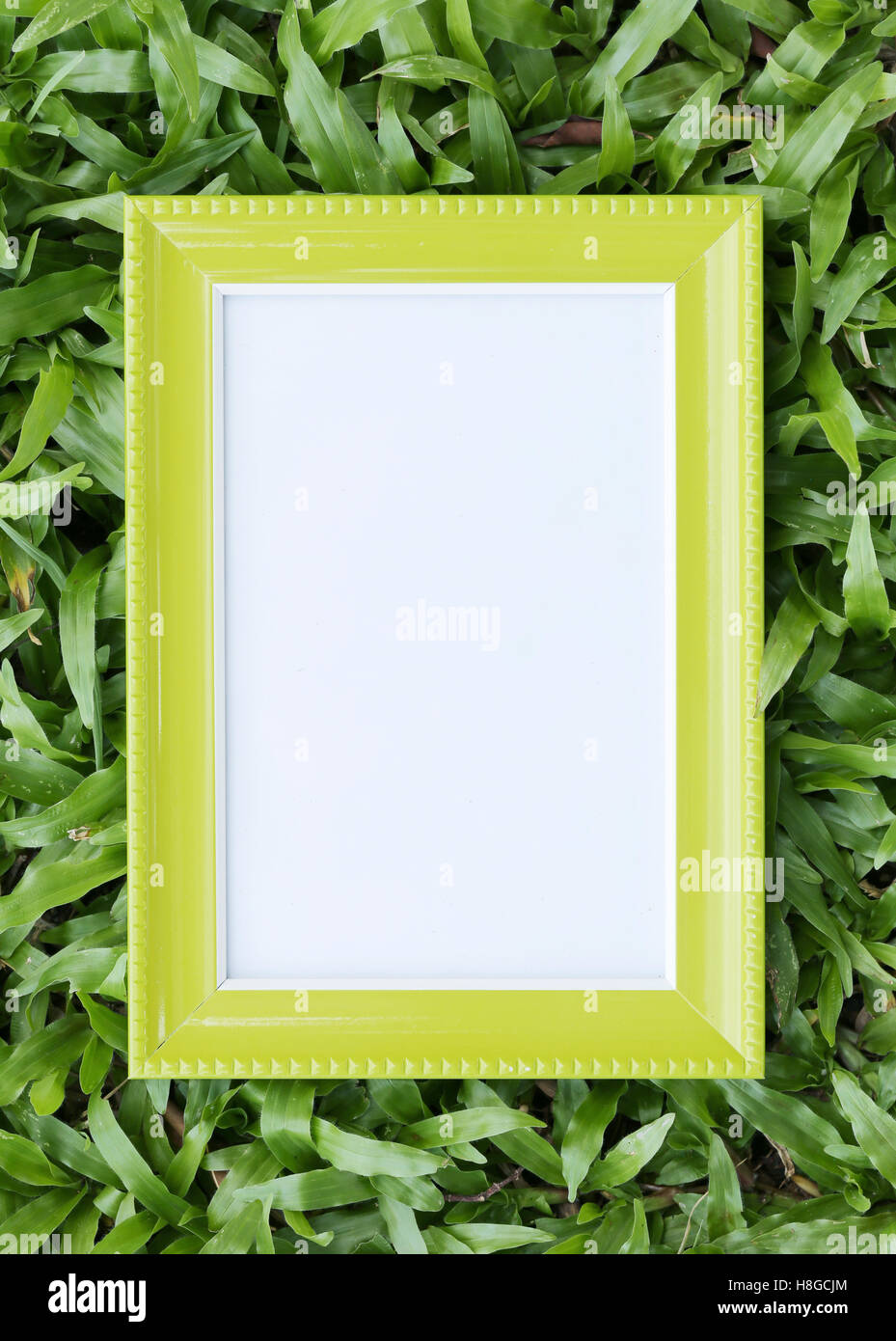 Yellow picture frame on green lawn in top view for the design nature background. Stock Photo