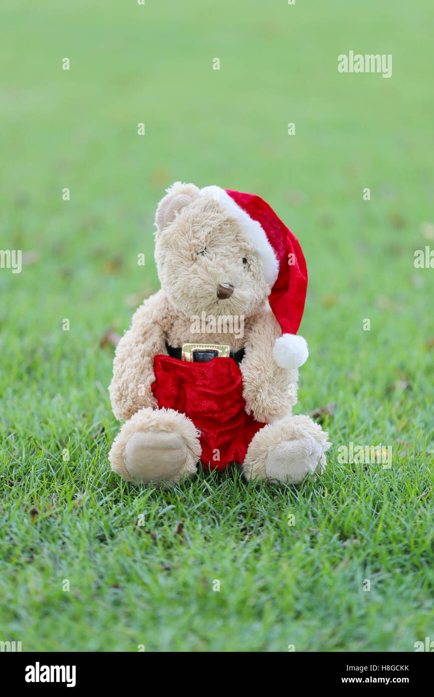 Teddy bear sit on the lawn in concept Festival and Event of Christmas Day. Stock Photo