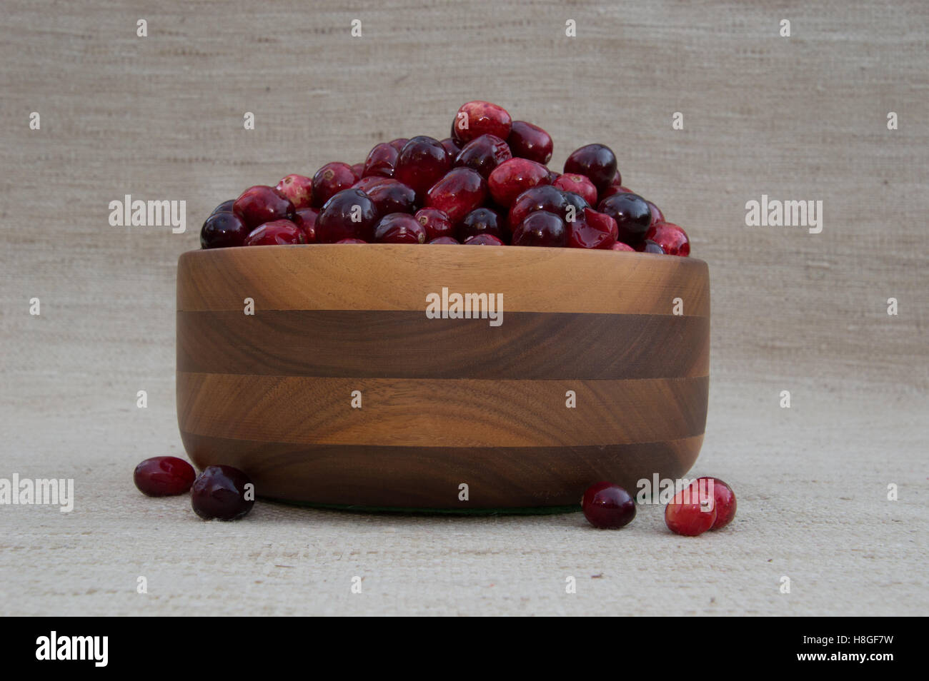 Close up of fresh red and maroon cranberries heaped in turned wooden bowl with berries outside of the dish against an ecru. Stock Photo