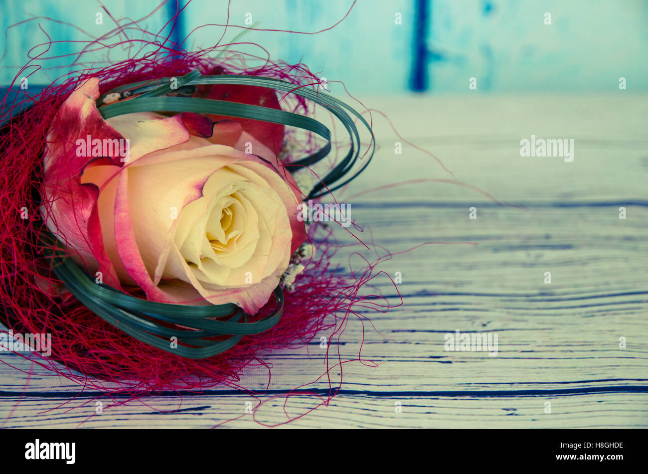 beautiful white rose flower decoration Stock Photo Alamy