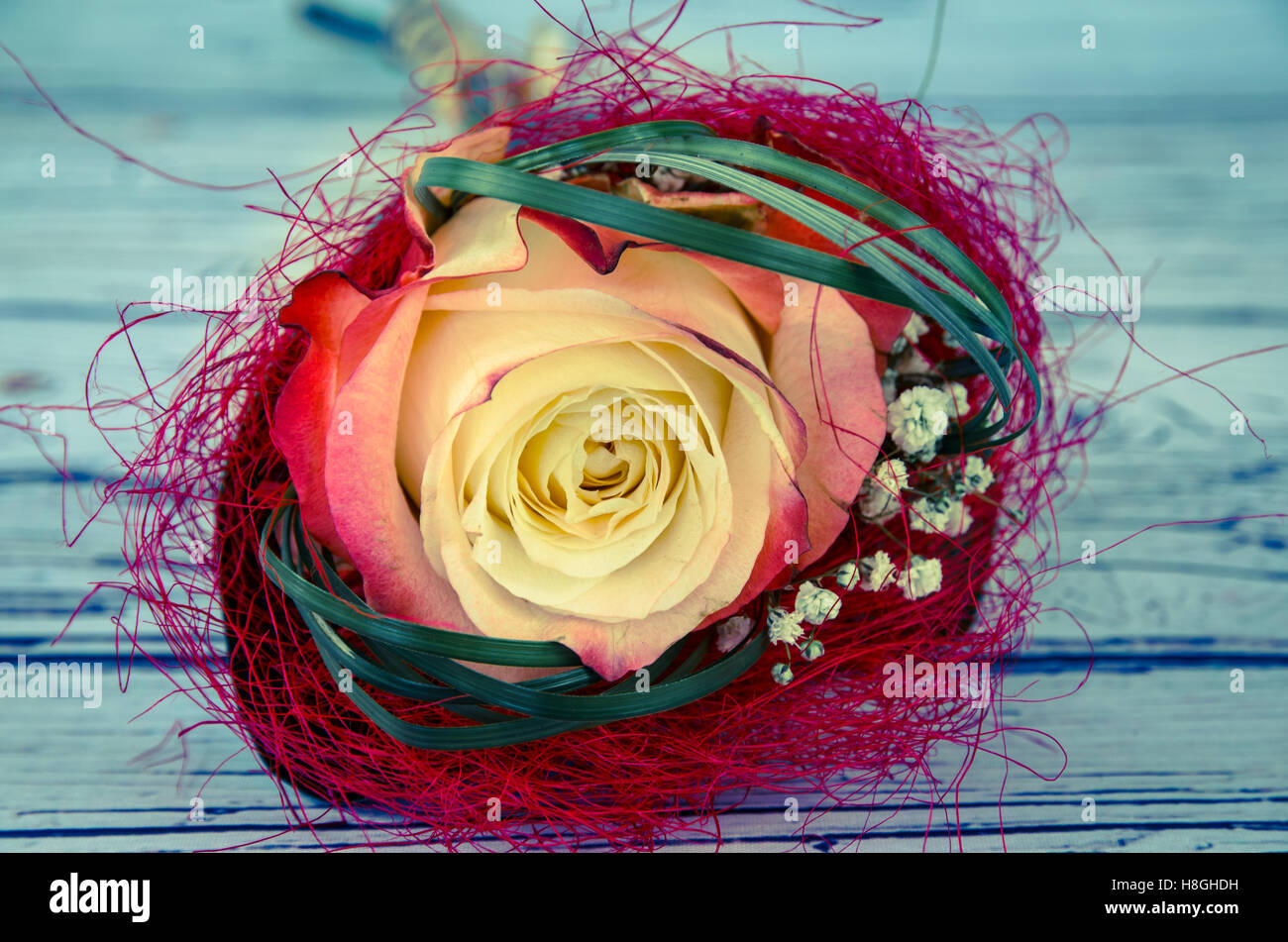 beautiful white rose flower decoration Stock Photo Alamy