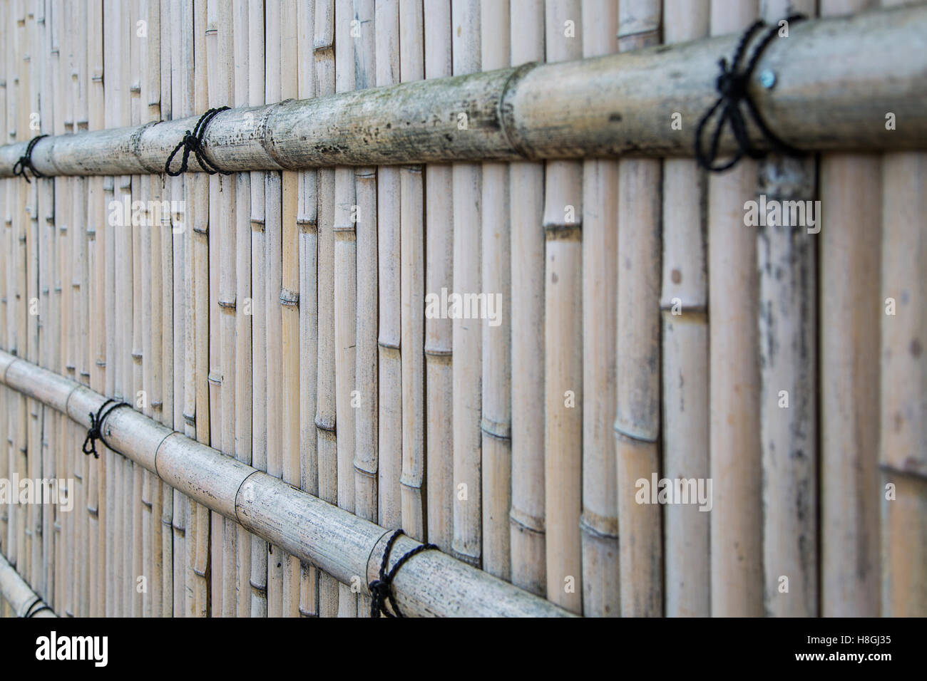 Closeup view of detail from the bamboo fence Stock Photo