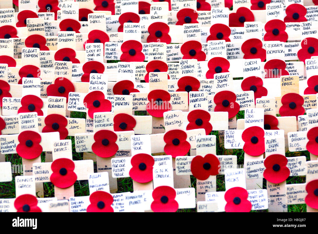 London, 11th November 2016. Poppies on crosses commemorating Armistice Day - Westminster Abbey, with names of individual soldiers Stock Photo