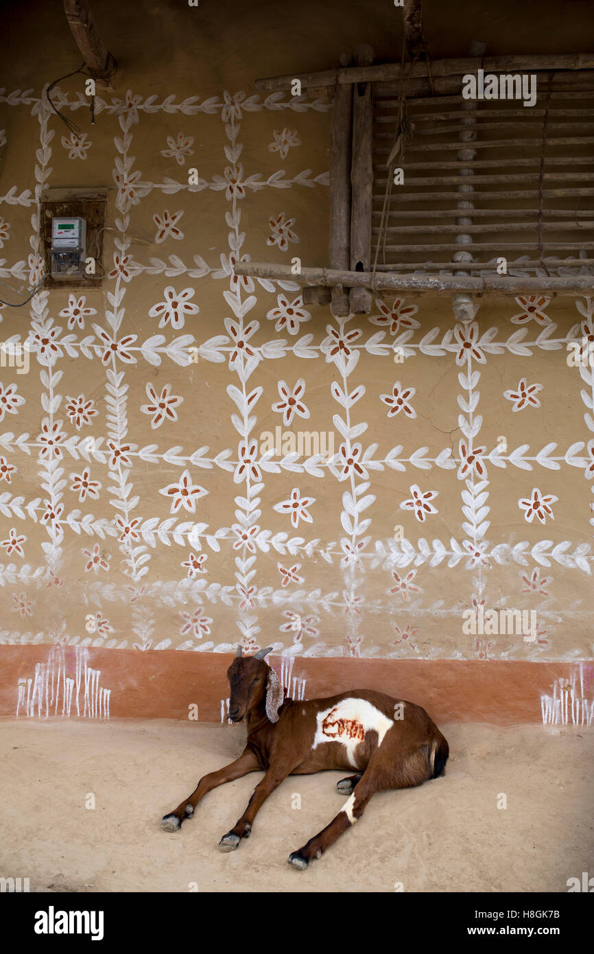 North Bengal, Bangladesh. 11th November, 2016. A man sitting in front of their house in North Bengal in Bangladesh, on November 10, 2016. lifestyle and view of houses of a rural village in Bangladesh. These houses are made by mud and  the walls are beautifully painted using natural colours and the interiors.Santal tribe and hindu people are living these houses.The village paintings are considered auspicious symbols related to fertility and fecundity being painted on the walls. Credit:  zakir hossain chowdhury zakir/Alamy Live News Stock Photo
